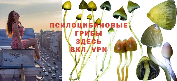 прущая мука Абинск
