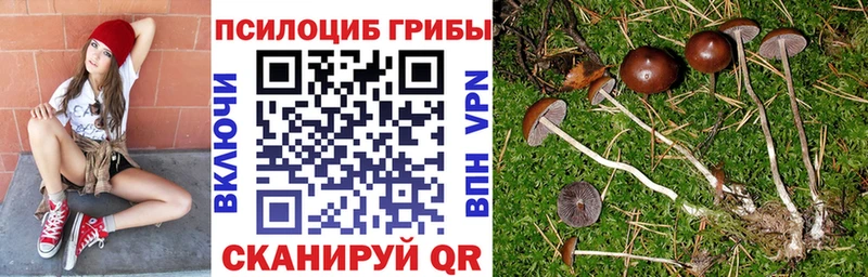 Галлюциногенные грибы прущие грибы  Агидель 